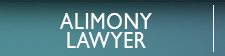 Alimoney Lawyers in Bonita Springs