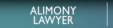 Alimoney Lawyers in Naples